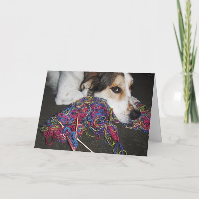 Milo-blank Card (Front)