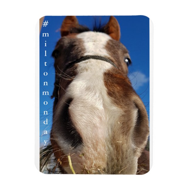 Milton Monday Magnet (Vertical)