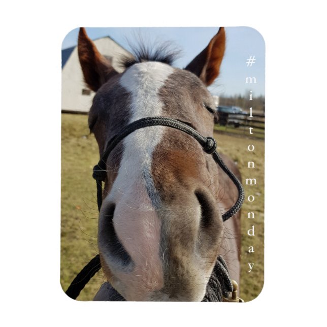 Milton Monday magnet (Vertical)