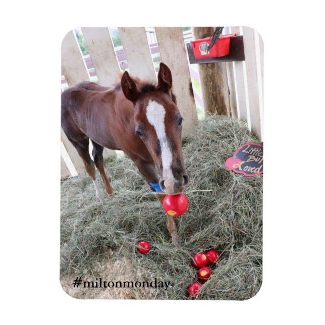 Milton Monday Magnet (Vertical)