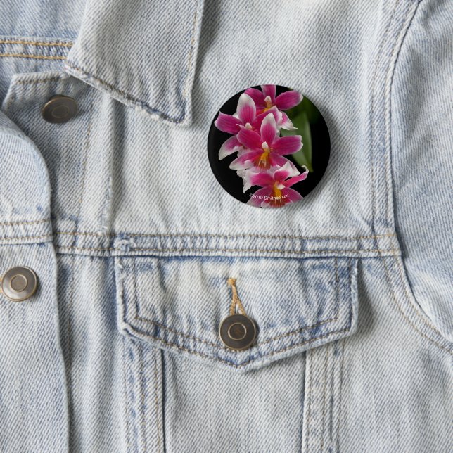 Miltonioda Sakura 6 Cm Round Badge (In Situ)