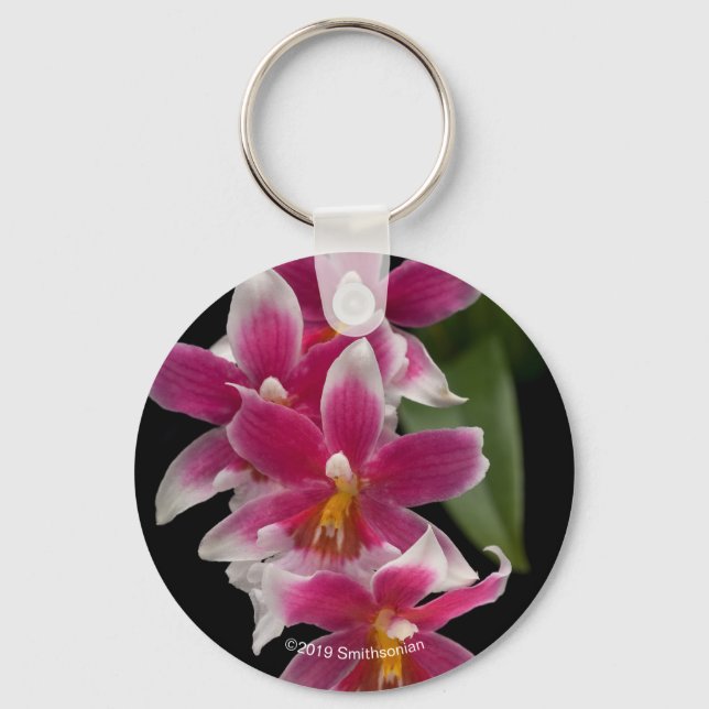 Miltonioda Sakura Key Ring (Front)