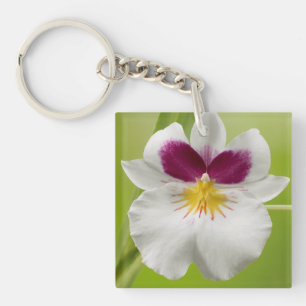 Miltoniopsis Roezlii (Pansy Orchids) Key Ring