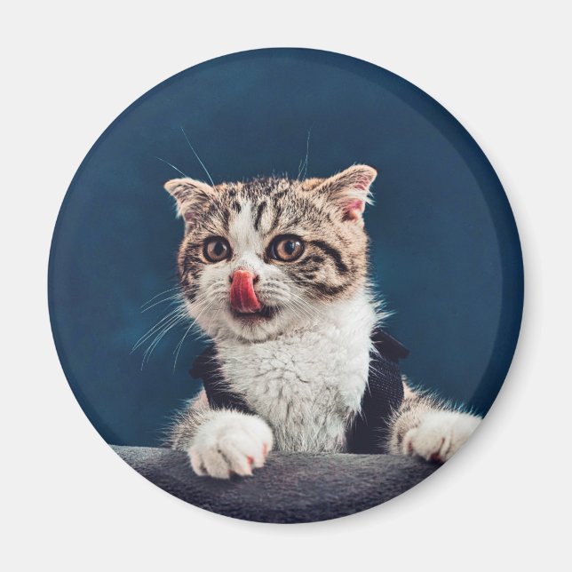 Milu Cat Magnet (Front)