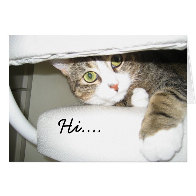 Mimi (Front Horizontal)