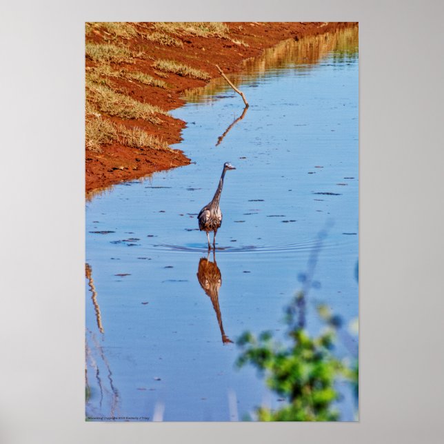 Mimicking Poster (Front)