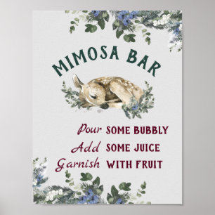 Mimosa Bar Baby It's Cold Outside Baby Shower Poster