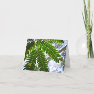 Mimosa Leaves Card