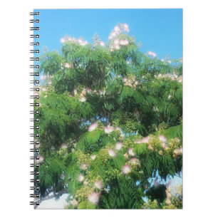 Mimosa Tree Notebook