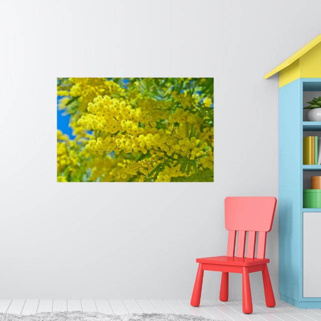 Mimosa Yellow Flower Floral Botanical Photography  Poster (Nursery 1)