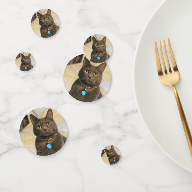 Mims     confetti (Group)