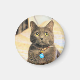 Mims magnet