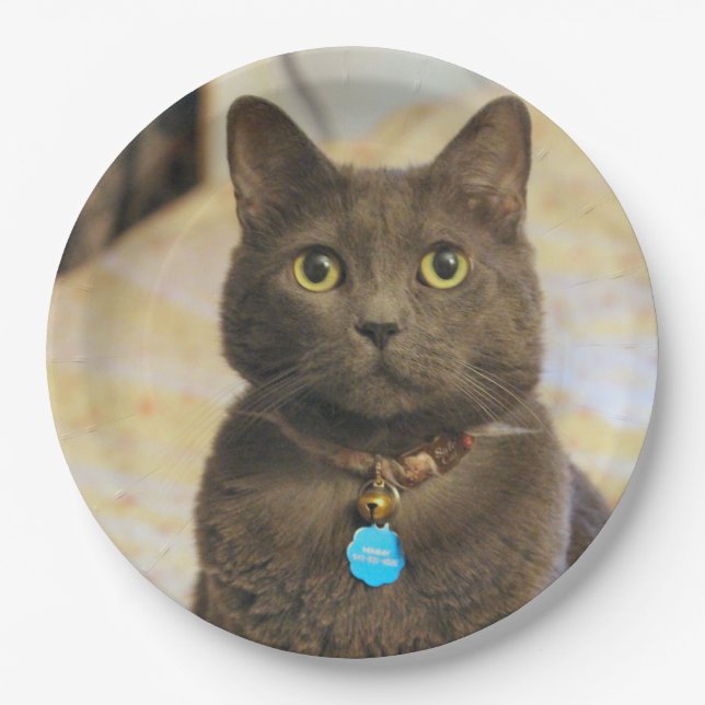 Mims    paper plate (Front)