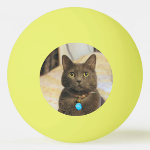 Mims Ping Pong Ball