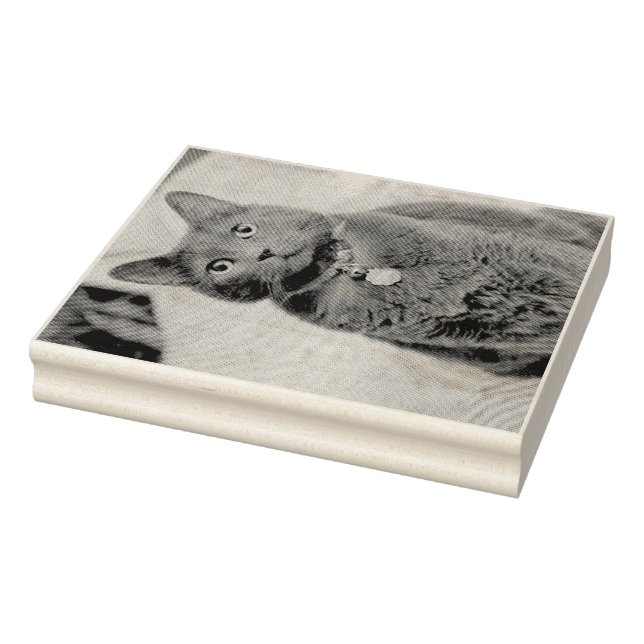 Mims Rubber Stamp (Stamp)