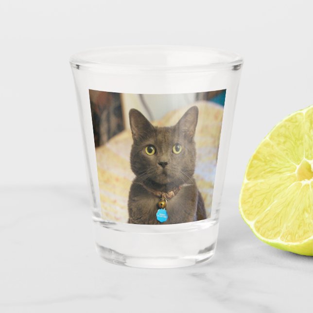 Mims Shot Glass (Front)