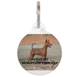 min pin red full love w pic pet tag