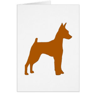min pin red silo