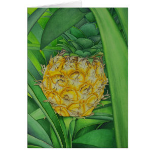 Minature Pineapple