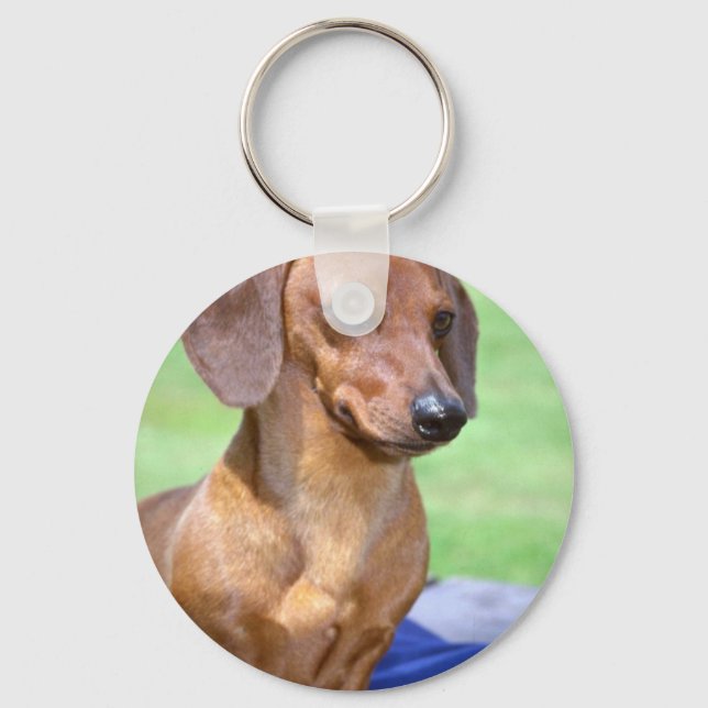 Minature Smooth Dachshund Key Ring (Front)