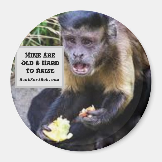 Mine are hard to raise magnet (Front)