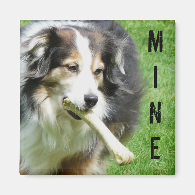 MINE! Australian Shepherd Magnet (Front)