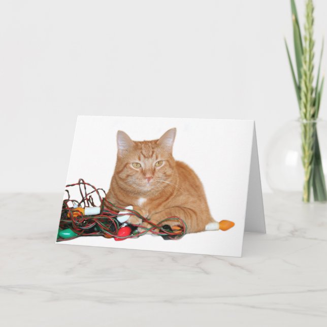 Mine!! Holiday Card (Front)