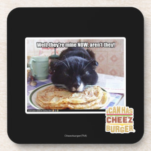 Mine now coaster