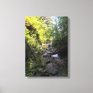 Miner Creek, Samuel H. Boardman, OR Canvas Print