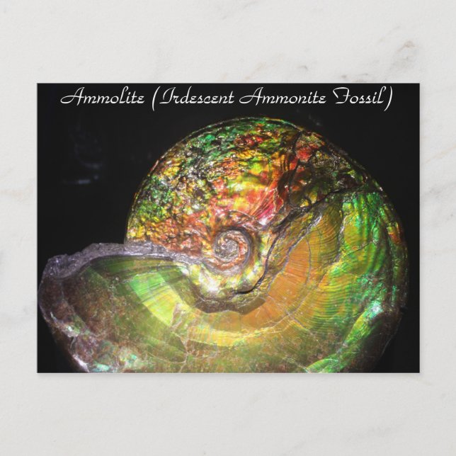 Minerals & Gems # 127 Postcard (Front)