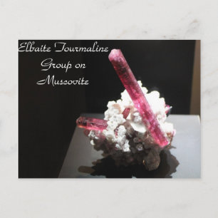 Minerals & Gems # 99 Postcard