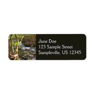 Mingus Creek at Smoky Mountains