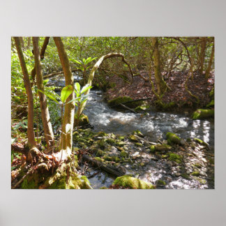 Mingus Creek at Smoky Mountains Poster
