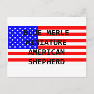mini aussie name on flag blue merle postcard