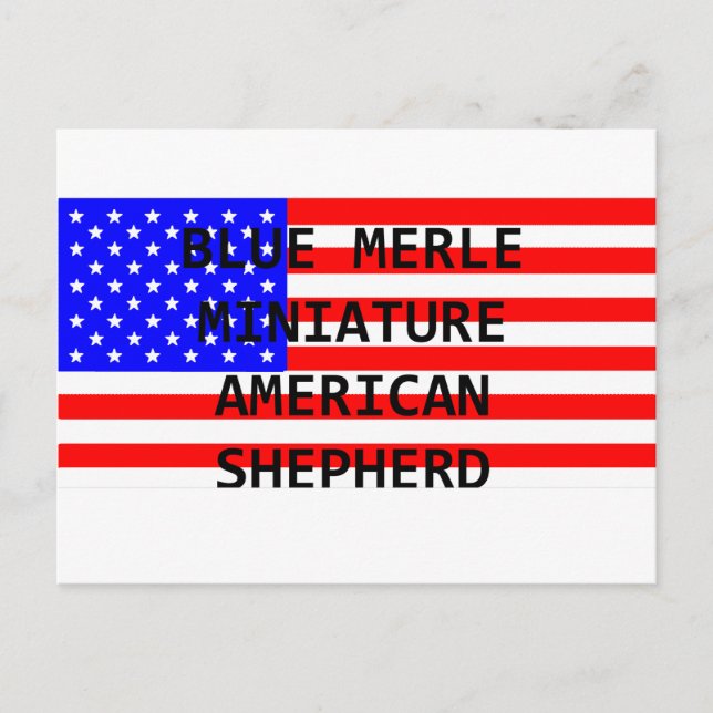 mini aussie name on flag blue merle postcard (Front)