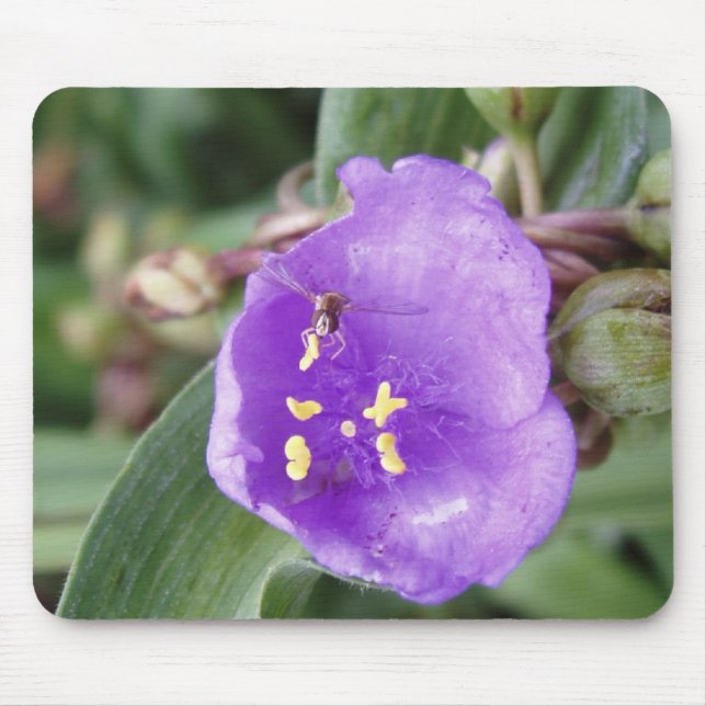 MINI Bee Caught in Flight Mouse Pad (Front)
