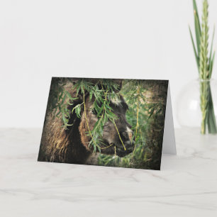 Mini Being Onery, Birthday Card