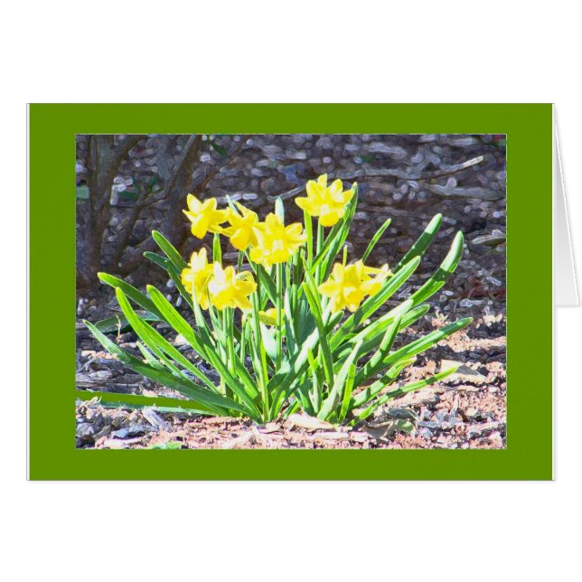 mini-Daffodils card (Front Horizontal)
