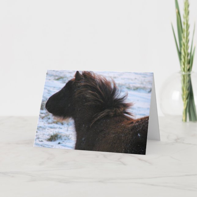 Mini Filly in Winter, Christmas Holiday Card (Front)
