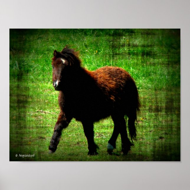 Mini Filly Poster (Front)