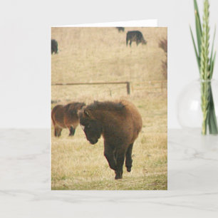 Mini Foal Kicking Up Her Heels Card