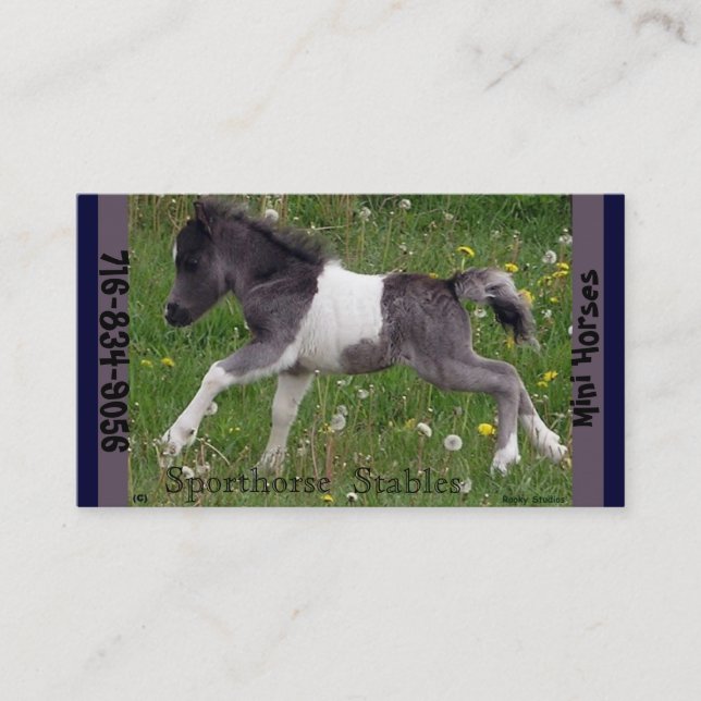 Mini Horse Business Card (Front)