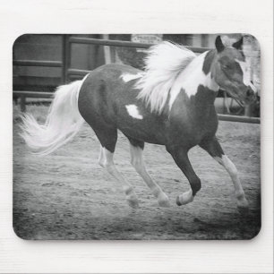 Mini Horse Gallops Mouse Pad