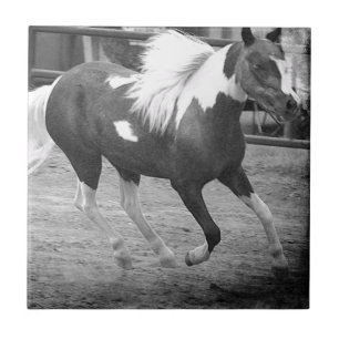 Mini Horse Gallops Tile