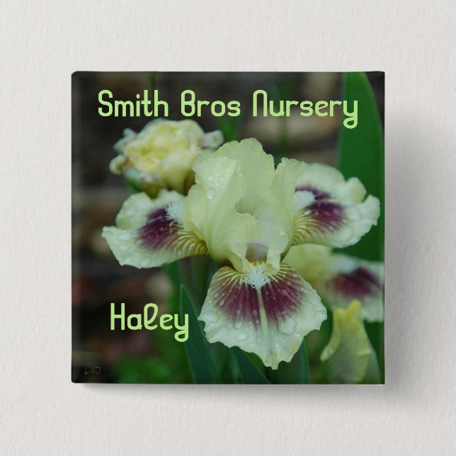 Mini Iris Button-Badge 15 Cm Square Badge (Front)