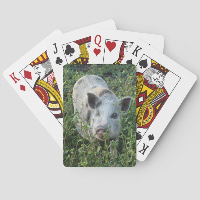 Mini Juliana Pet Pig Playing Cards (Back)