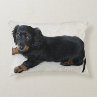 Mini Longhair Dachshund Puppy Decorative Cushion