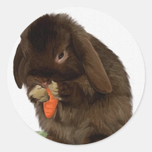 Mini Lop Bunny and carrot Classic Round Sticker