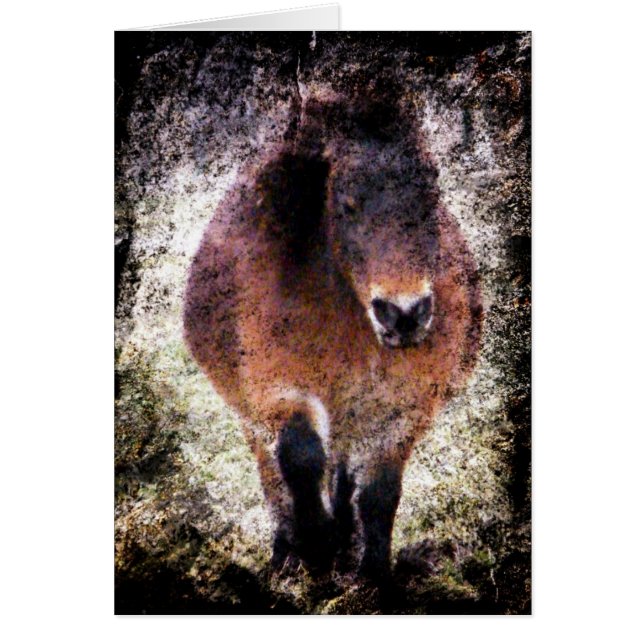 Mini Mare Grunge (Front)