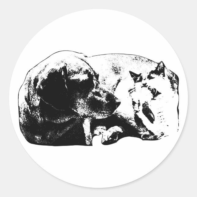 Mini Pals—Dog Meets Cat Classic Round Sticker (Front)